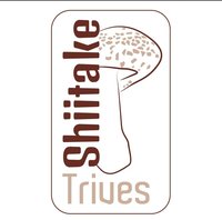 Shiitake Trives